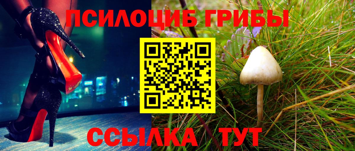 Галлюциногенные грибы Magic Shrooms  Вход с VPN  Алапаевск 